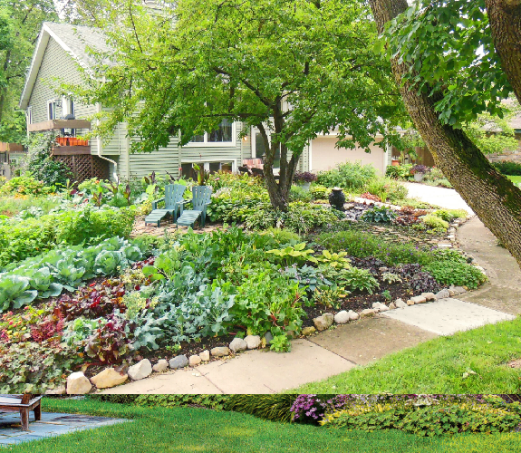 A feast for the senses