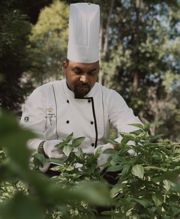 A feast for the senses