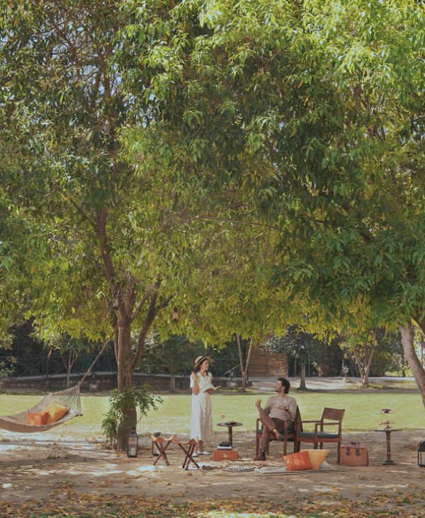 A feast for the senses